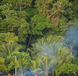 Pacifica House | The Humpback Turtle