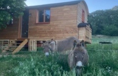 Entrepierres House | The La Croix roulott on the heights of Sisteron