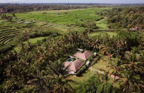 Melayang Villa | The Lanaya Villa