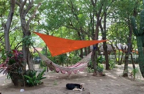 San Diego Apartment | The Lazy Tortuga -Cozy 1-bedroom in marvelous Playa SanDiego with AC, WiFi