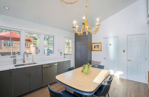 Telluride House | The Lily Pad~Heart of Telluride, 2 blocks to Skiing, 2 outdoor spaces, sunnyside