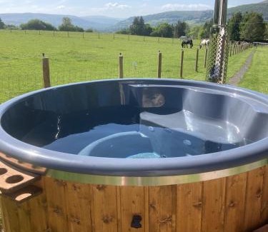 Abergavenny Apartment | The Lily Pod