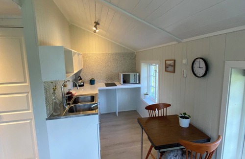 Barstrand Cabin | The Little Red Cabin Lofoten