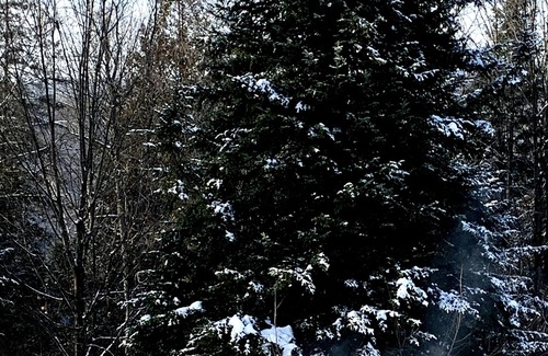 Morin Heights Ski Chalet | The Lodge house with swimming pool and spa