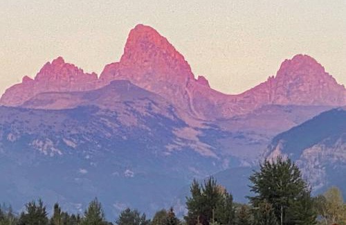 Driggs House | The Log Cabin