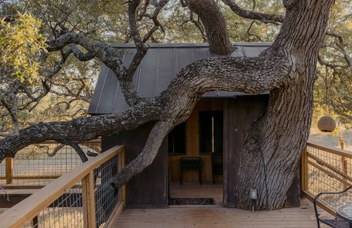 Dripping Springs Cabin | The Machan Treehouse-Asante Lodging & Events