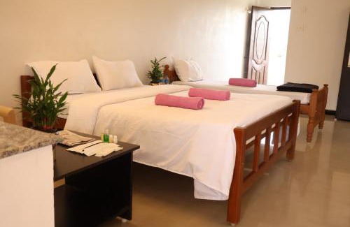 Tenkasi Hotel | THE MOUNT VIEW CASTLE HOTELS and RESORTS