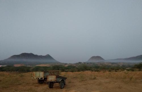 Pushkar Other | The nebula nights