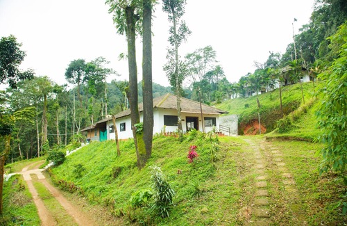 Madikeri Cabin | The Nest Bettathur, Coorg Ct 004