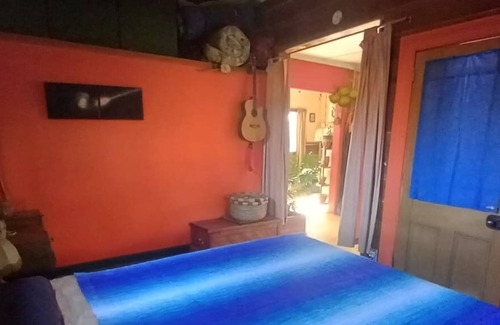 Oamaru Cottage | The Nest Summary: Our