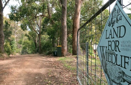 Ridgeway Cabin | The Nook A little gem in the forest 10 min to CBD