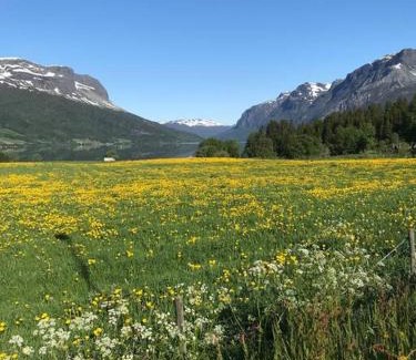Vang House | The Olav-house from 1840, at farm Ellingbø