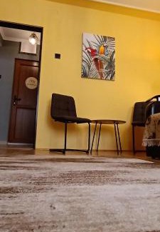 Gheorgheni Apartment | The Old Flower