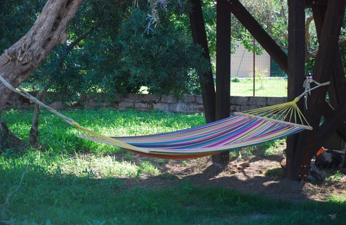Marano Marchesato House | The "Olive Treehouse"