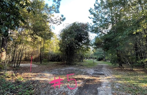 Tallahassee RV Rental | THE ORCHARD disperse primitive site