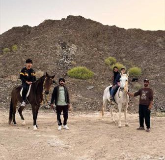 Ajman Other | The Out