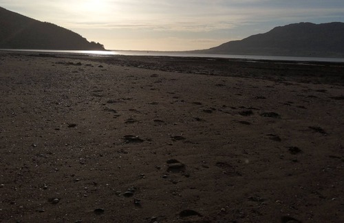 Rostrevor Bed & Breakfast | The Oystercatcher