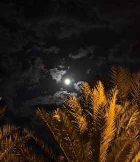 Al Hamra House | The Palm View