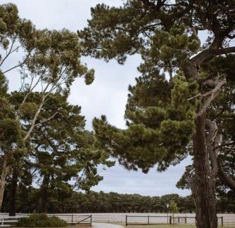 Connewarre House | The Pines Barwon Heads