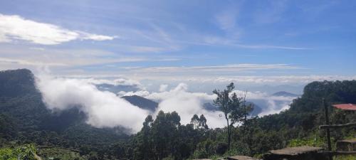 Kodaikanal House | The place The experience