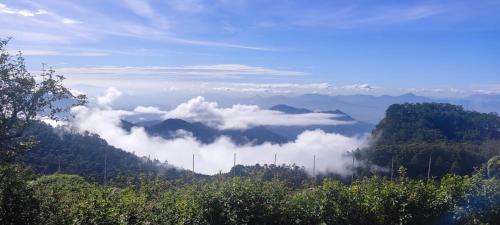 Kodaikanal House | The place The experience