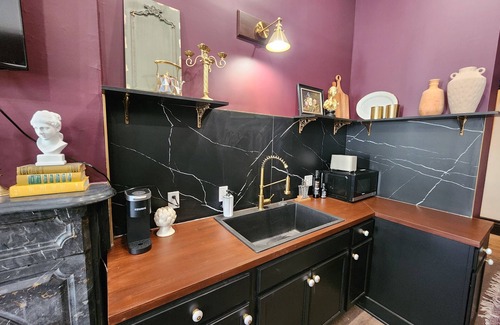 Akron Apartment | The Plum Parlor - Moody Victorian Studio with Timeless Charm