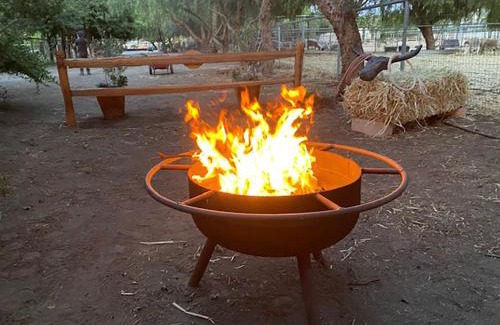 Temecula House | The Pony Experience; Glamping with Private Petting Zoo