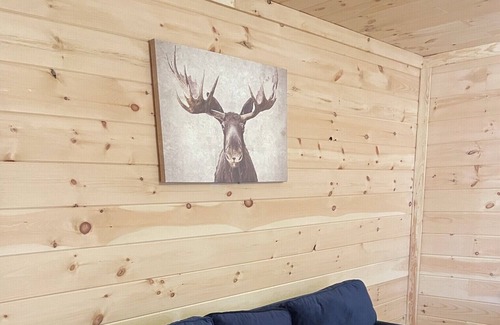 Converse Cabin | The PromiseLand 214B