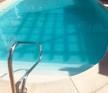 Torquay Hotel | The Purple Tree Guest House