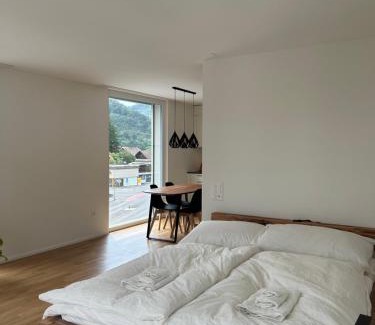 Balsthal Apartment | The R Apartment Engelberg, KLIMA, NEU, Balkon, Parking