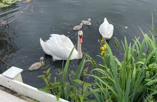 Cirencester Cabin | “The Retreat”