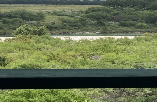 Uvalde House | The River Runs Through it. So Peaceful and Quite!