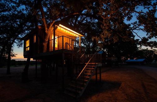 Elm Mott Other | The Robin Treehouse 15 MIN to Magnolia Baylor