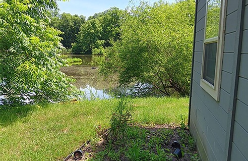 Delaware Cabin | The Rustic Side