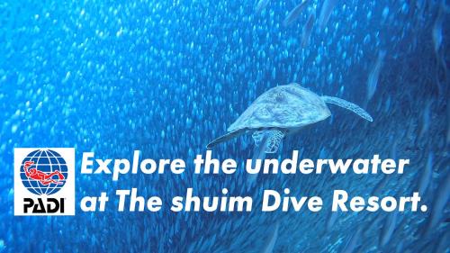 Basdiot Hotel | The Shuim Dive Resort Moalboal