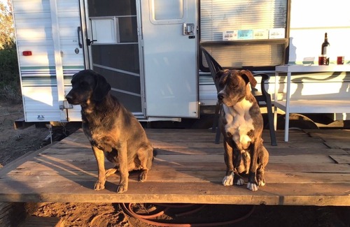 Monticello RV Rental | The Slabs Campsite 2