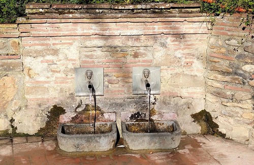 Capannori Apartment | The Sunflower - 5 Km from the walls of Lucca