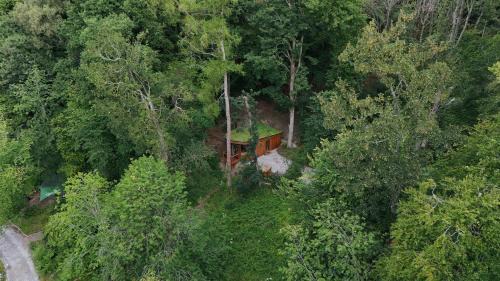 Nannerch Cabin | The Toads Hideout - A Cabin in an Ancient Welsh Woodland