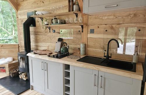 Nannerch Cabin | The Toads Hideout - A Cabin in an Ancient Welsh Woodland