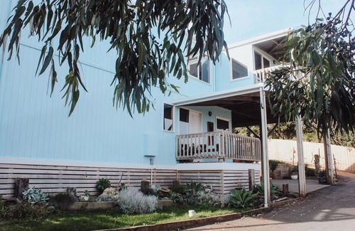 Warrnambool House | The Tree House Warrnambool