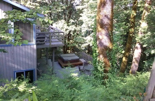 Hidden Springs Apartment | The TreeHouse Too - 2 BR Attached In-Law Flat/Apt. w/Spa & Mucho Amenities .