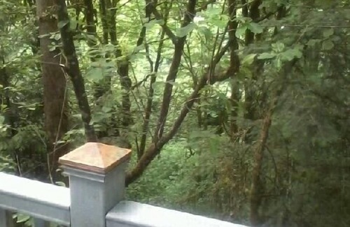 Hidden Springs Apartment | The TreeHouse Too - 2 BR Attached In-Law Flat/Apt. w/Spa & Mucho Amenities .