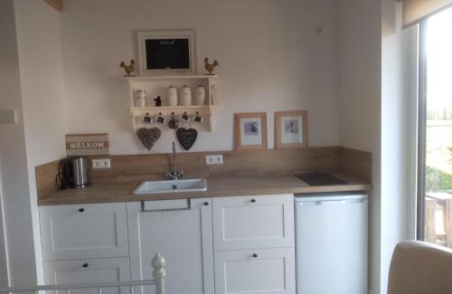 Waal House | The Two Branches