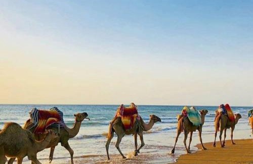 Asilah Apartment | The View Assilah