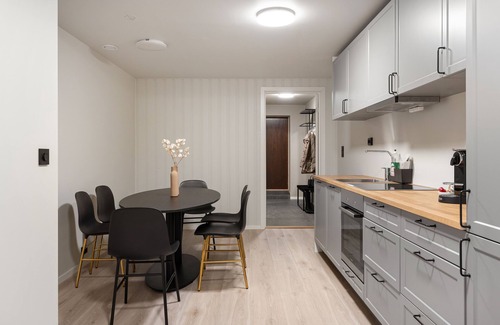 Tromso Apartment | The View