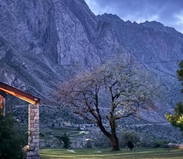 Naltar Valley Other | The Walnut Tree Lodge, Naltar
