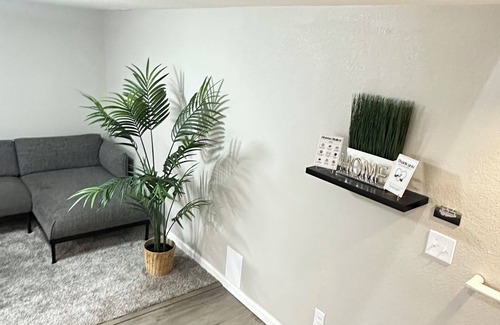 Dupont House | The white rose