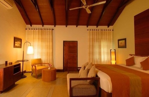 Bandipur Resort | The Windflower Jungle Resorts and Spa