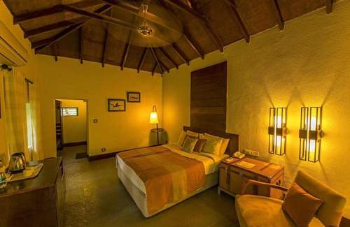 Bandipur Resort | The Windflower Jungle Resorts and Spa