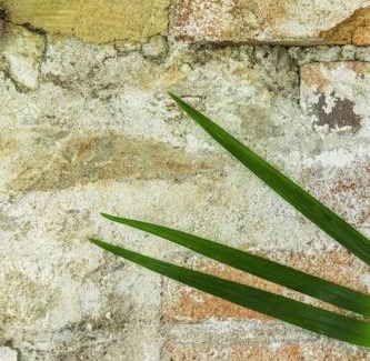Lifton Apartment | The Yard at Borough Farm